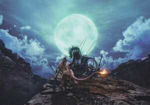 y2-098 o[XFL[rWA2 (m[}J[h) z t@Cit@^W[ 7 Ajo[T[A[g~[WA fW^J[hvX Vol.2