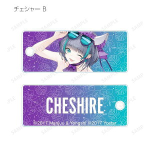 yB.`FV[z AY[[ `NCXg Ver. g[fBOANL[^O