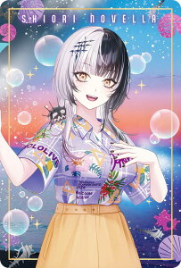 �y29.�V�I���E�m���F�� (�����o�[�J�[�h) �z �z�����C�u�v���_�N�V���� �E�G�n�[�X hololive SUPER EXPO 2024 vol.1