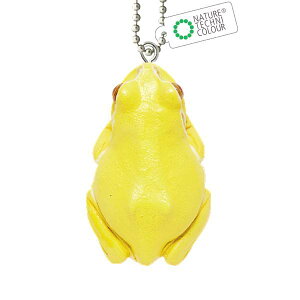 yArm({[`F[^Cv)z lC`[eNjJ[MONO PLUS A}KG }Olbg&{[`F[