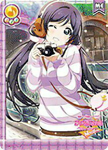 uCuI LL13-070 's̋x   (ME [) XN[AChRNV Vol.13 `XNtFXACR{pbN`