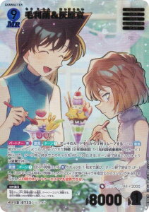 ypzTRiTCG NO.B07001P ID [0733] їD (MRP ~Xe[Ap) Case-Booster07 f̃}WbN (CT-P07)