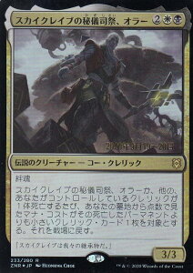 yttHCdlz}WbNUMUO ZNR JP 233 XJCNCu̔ViՁAI[ ({ A) [fBJ[̖閾 v[XEpbN