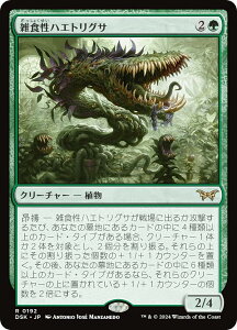 }WbNUMUO DSK JP 0192 GHnGgOT ({ A) _XN[Fɂ̊ (MTG)
