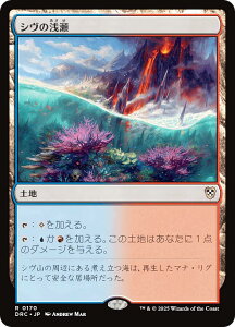}WbNUMUO DRC JP 0170 V̐ ({ A) Cj  (MTG)