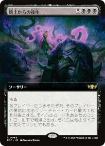 ygA[gŁz}WbNUMUO TDC JP 0065 y̌㐶 ({ A) ^L[F^  (MTG)