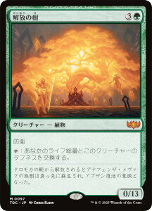 }WbNUMUO TDC JP 0097 ̎ ({ _bA) ^L[F^  (MTG)