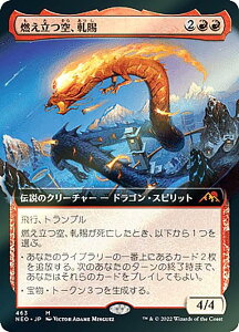 yFOILz}WbNUMUO NEO JP 463 RAa ({ _bA) _́FP鐢E yroBOX̋ʂȂz