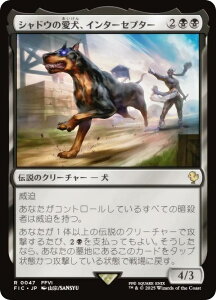 }WbNUMUO FIC JP 0047 VhËAC^[Zv^[ ({ A) FINAL FANTASY t@Cit@^W[  (MTG)