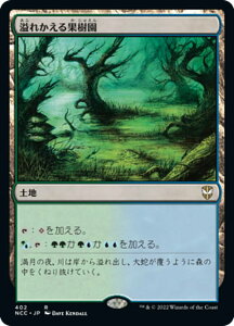 }WbNUMUO NCC JP 402 ꂩʎ ({ A) j[Jyi̊Xp 