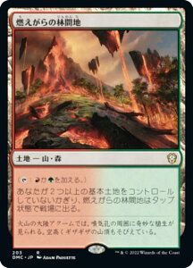 }WbNUMUO DMC JP 203 R̗ъԒn ({ A) c̃h~iA 