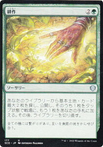 }WbNUMUO SCD JP 177 k ({ AR) X^[^[E҃fbL hS̔j