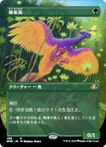 楽天市場】極楽鳥mtgの通販