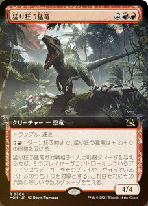 yFOILz}WbNUMUO MOM JP 0366 ҂苶җ ({ A) @Bc̐iR