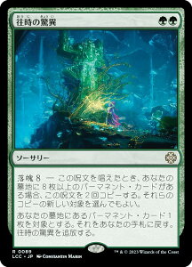 }WbNUMUO LCC JP 0089 ̋ ({ A) CNTFꂵA  (MTG)