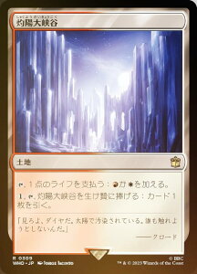 yFOILz}WbNUMUO WHO JP 0309 ܗz勬J ({ A) hN^[Et[ MTG