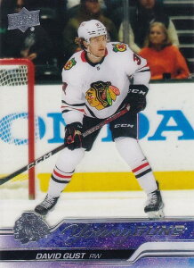 �yUPPER DECK SERIES 1 HOCKEY HOBBY�Ę^�zNPB �x�[�X�{�[���J�[�h 218 DAVID GUST RW 2023 TOPPS BOWMAN �{�E�}��