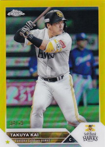 yt[ 34/75zNPB x[X{[J[h 101 b \tgoNz[NX (x[XJ[h) 2023 TOPPS CHROME