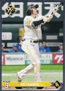 ygpzNPB v싅J[h 244 cI \tgoNz[NX (CT[gJ[h) G|bN 2024