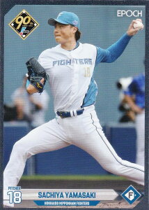 ygpzNPB v싅J[h 313 R蕟 kC{nt@C^[Y (CT[gJ[h) G|bN 2024