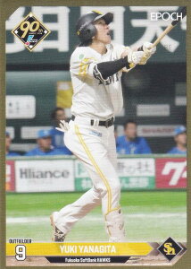 ygp 173/265zNPB v싅J[h 244 cI \tgoNz[NX (CT[gJ[h) G|bN 2024