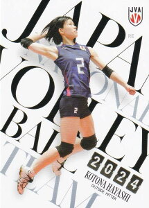 yRG03 ыՓ (M[J[h) z o[{[q{\ 2024 g[fBOJ[h