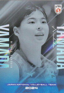 yRG33 Rc (M[J[h) z o[{[q{\ 2024 g[fBOJ[h