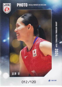 y[012/120] n粍 (AJ[hFʐ^J[h) z o[{[q{\ 2024 g[fBOJ[h