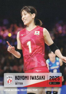 yRG01 肱 (M[J[h)z o[{[q{\ 2025 g[fBOJ[h