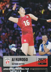 yRG38 ㈤ (M[J[h)z o[{[q{\ 2025 g[fBOJ[h