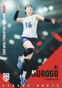 yRG40 ㈤ (M[J[h)z o[{[q{\ 2025 g[fBOJ[h