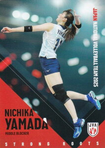 yRG46 Rc (M[J[h)z o[{[q{\ 2025 g[fBOJ[h