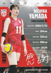 yRG49 Rc (M[J[h)z o[{[q{\ 2025 g[fBOJ[h