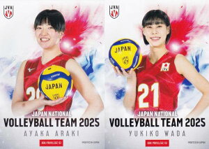 yBOX03 r؍ʉ/acRIq ({bNXTJ[h)z o[{[q{\ 2025 g[fBOJ[h