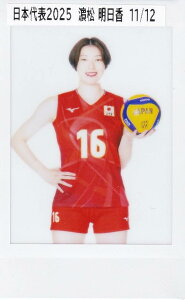 y[11/12] _ (vg`FL)z o[{[q{\ 2025 g[fBOJ[h