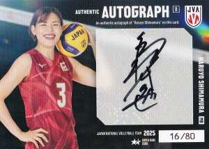 y[16/80] t (X[p[AJ[hFMTCJ[hB)z o[{[q{\ 2025 g[fBOJ[h