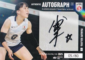 y[05/80] ؔ (X[p[AJ[hFMTCJ[hB)z o[{[q{\ 2025 g[fBOJ[h