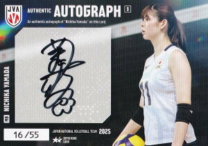 y[16/55] Rc (X[p[AJ[hFMTCJ[hB)z o[{[q{\ 2025 g[fBOJ[h