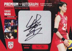 y[16/30] acRIq (v`iAJ[hFv~AMTCJ[h)z o[{[q{\ 2025 g[fBOJ[h