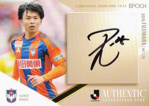 y08/55zJ[OItBVg[fBOJ[h SG074 t ArbNXV (MTCJ[h) EPOCH 2025