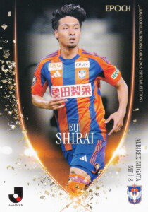 J[OItBVg[fBOJ[h 081 in ArbNXV (M[J[h) G|bN 2025 TbJ[{\ItBVg[fBOJ[h XyVGfBV