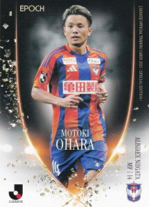 J[OItBVg[fBOJ[h AN14  ArbNXV (M[J[h/GNNXgJ[h) G|bN 2025 TbJ[{\ItBVg[fBOJ[h X