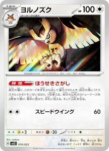 |PJ[hQ[ SVLS 010/022 mYN  X^[^[Zbg eX^CvFXe \EuCYex