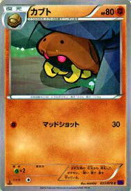 楽天市場 カブト ポケモン Xyの通販