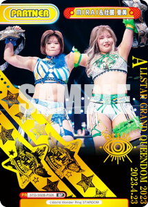 Re�o�[�X STD/002B-P026 MIRAI���s�� ���� (BP �{�b�N�X�p�[�g�i�[) �u�[�X�^�[�p�b�N STARDOM