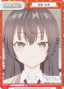 Reo[X RSDR/001T-P003 h L (TD) gCAZbg X{\bƃVAŃfׂ̃A[