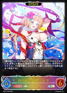 ypzVhEo[X G{ SP01-SL49 ̏ȍ_E~g (SL X[p[WFh) XyVpbN V[TChE[Y