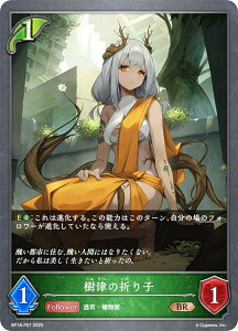 �y�p�������z�V���h�E�o�[�X �G�{���� BP18-P07 �����̋F��q (BR �u�����Y���A) �u�[�X�^�[�p�b�N ��18�e �V��s�s�E����