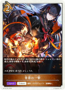 ypzVhEo[X G{ BP18-P53 ẗꌂ (g[N) u[X^[pbN 18e VssE