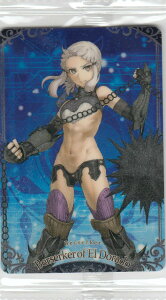 y12.Ghh̃o[T[J[ (N m[}) z Fate/Grand Order EGn[X4